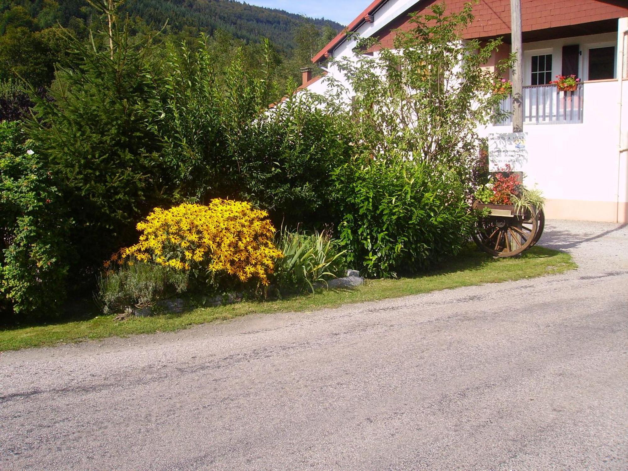 Gites Les Grandes Voies - Cle Vacances Le Ménil Eksteriør billede
